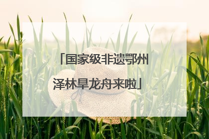 国家级非遗鄂州泽林旱龙舟来啦