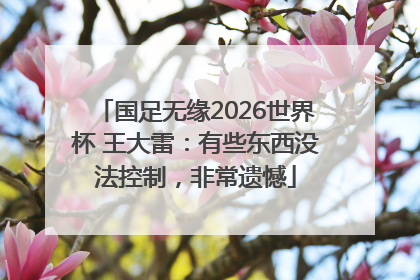 国足无缘2026世界杯 王大雷：有些东西没法控制，非常遗憾