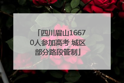 四川眉山16670人参加高考 城区部分路段管制