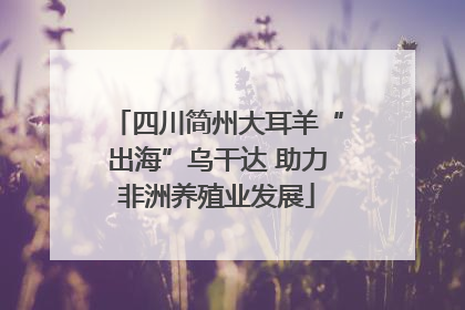 四川简州大耳羊“出海”乌干达 助力非洲养殖业发展
