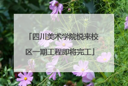 四川美术学院悦来校区一期工程即将完工