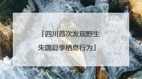四川首次发现野生朱鹮夏季栖息行为