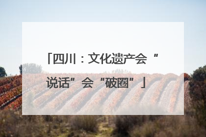 四川：文化遗产会“说话”会“破圈”