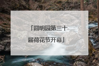 圆明园第三十届荷花节开幕