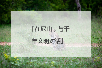 在尼山，与千年文明对话