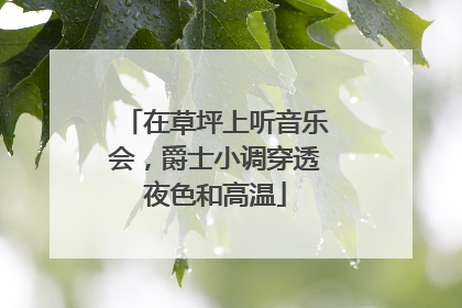 在草坪上听音乐会，爵士小调穿透夜色和高温