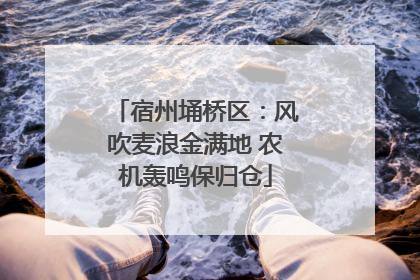 宿州埇桥区：风吹麦浪金满地 农机轰鸣保归仓