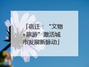 宿迁：“文物+旅游”激活城市发展新脉动