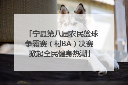 宁夏第八届农民篮球争霸赛（村BA）决赛掀起全民健身热潮