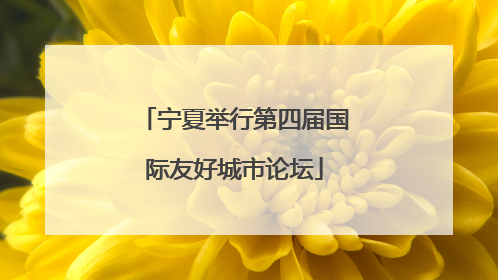 宁夏举行第四届国际友好城市论坛