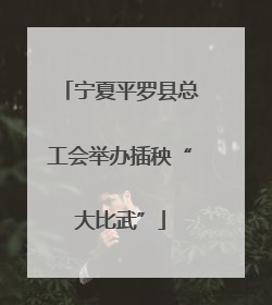 宁夏平罗县总工会举办插秧“大比武”