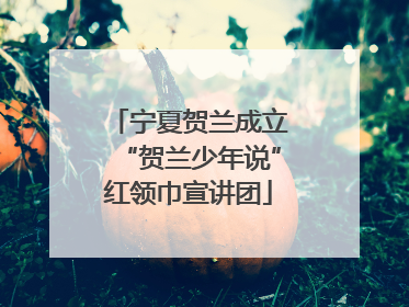 宁夏贺兰成立“贺兰少年说”红领巾宣讲团