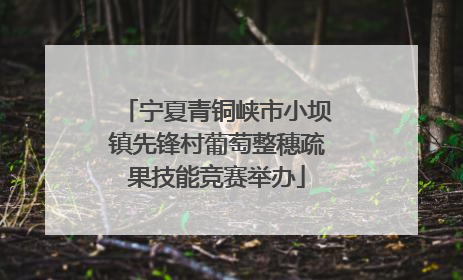宁夏青铜峡市小坝镇先锋村葡萄整穗疏果技能竞赛举办