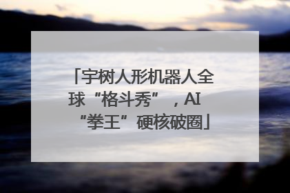 宇树人形机器人全球“格斗秀”，AI“拳王”硬核破圈