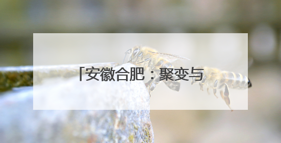 安徽合肥：聚变与氢氨能源工程应用联合实验室成立
