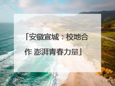安徽宣城：校地合作 澎湃青春力量