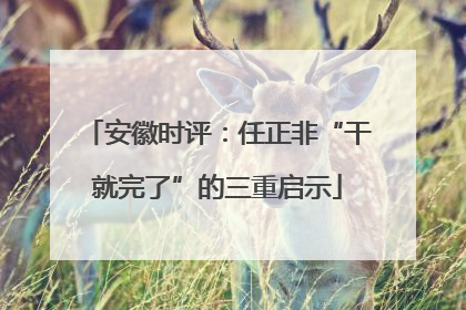 安徽时评：任正非“干就完了”的三重启示