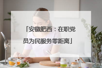 安徽肥西：在职党员为民服务零距离