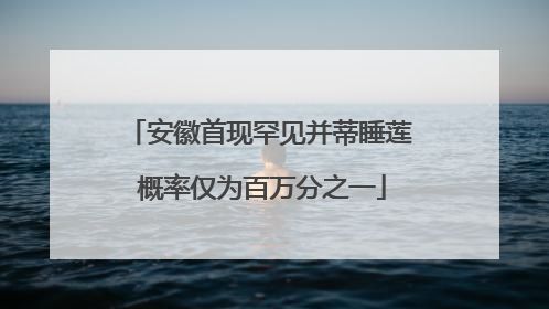 安徽首现罕见并蒂睡莲 概率仅为百万分之一