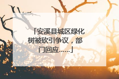 安溪县城区绿化树被砍引争议，部门回应……