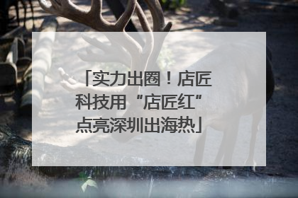 实力出圈！店匠科技用“店匠红”点亮深圳出海热