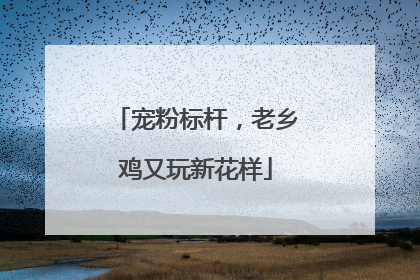 宠粉标杆，老乡鸡又玩新花样