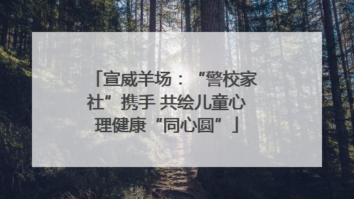 宣威羊场：“警校家社”携手 共绘儿童心理健康“同心圆”