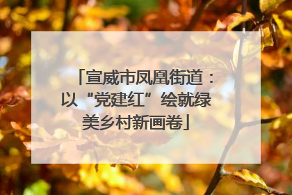 宣威市凤凰街道：以“党建红”绘就绿美乡村新画卷