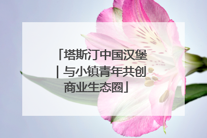 塔斯汀中国汉堡｜与小镇青年共创商业生态圈