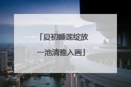 夏初睡莲绽放 一池清雅入画