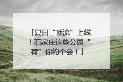 夏日“顶流”上线！石家庄这些公园“荷”你约个会！