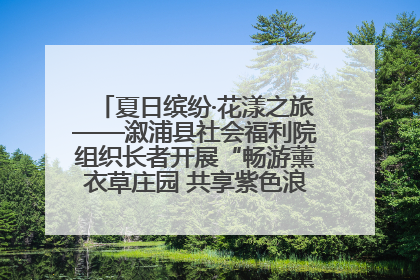 夏日缤纷·花漾之旅——溆浦县社会福利院组织长者开展“畅游薰衣草庄园 共享紫色浪漫”户外活动