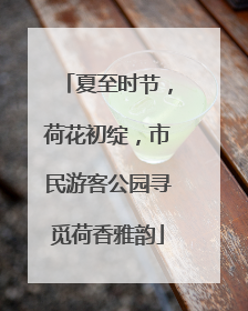 夏至时节，荷花初绽，市民游客公园寻觅荷香雅韵