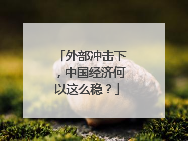外部冲击下，中国经济何以这么稳？