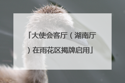 大使会客厅（湖南厅）在雨花区揭牌启用