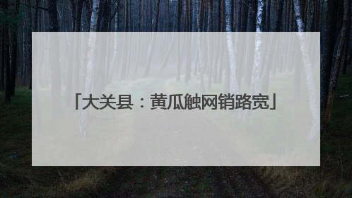 大关县：黄瓜触网销路宽