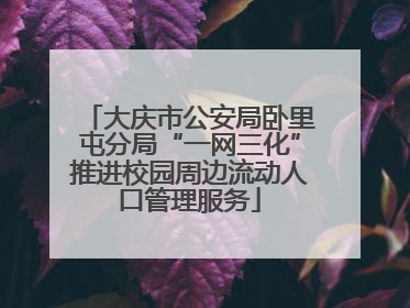 大庆市公安局卧里屯分局“一网三化”推进校园周边流动人口管理服务