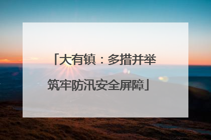 大有镇：多措并举筑牢防汛安全屏障