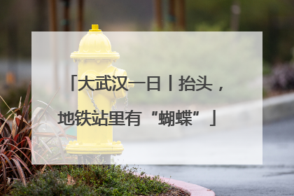 大武汉一日丨抬头，地铁站里有“蝴蝶”