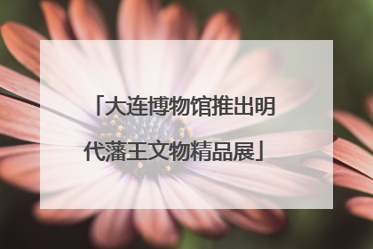 大连博物馆推出明代藩王文物精品展