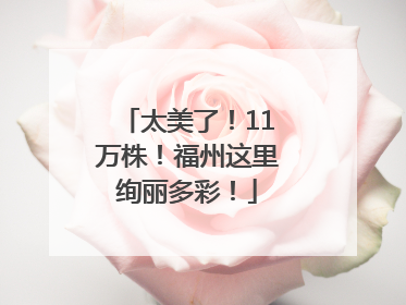 太美了！11万株！福州这里绚丽多彩！