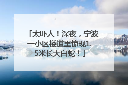 太吓人！深夜，宁波一小区楼道里惊现1.5米长大白蛇！