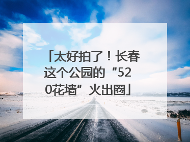 太好拍了！长春这个公园的“520花墙”火出圈