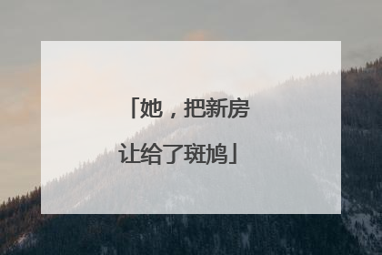 她，把新房让给了斑鸠