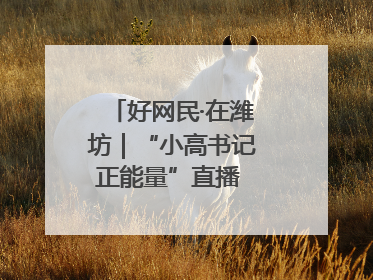 好网民·在潍坊｜“小高书记正能量”直播 带动群众致富