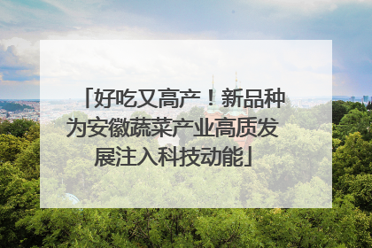 好吃又高产！新品种为安徽蔬菜产业高质发展注入科技动能
