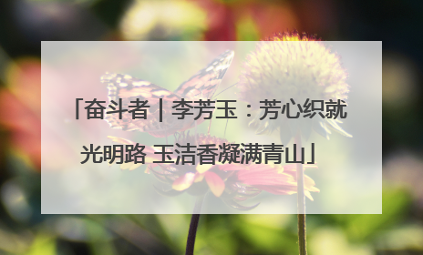 奋斗者｜李芳玉：芳心织就光明路 玉洁香凝满青山