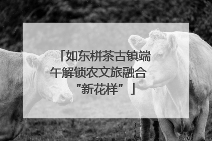如东栟茶古镇端午解锁农文旅融合“新花样”