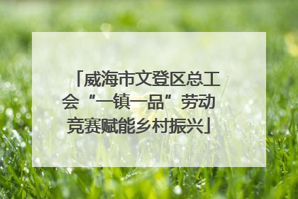威海市文登区总工会“一镇一品”劳动竞赛赋能乡村振兴
