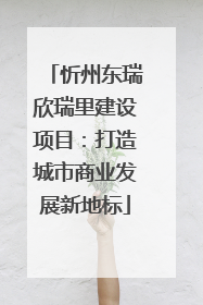 忻州东瑞欣瑞里建设项目：打造城市商业发展新地标